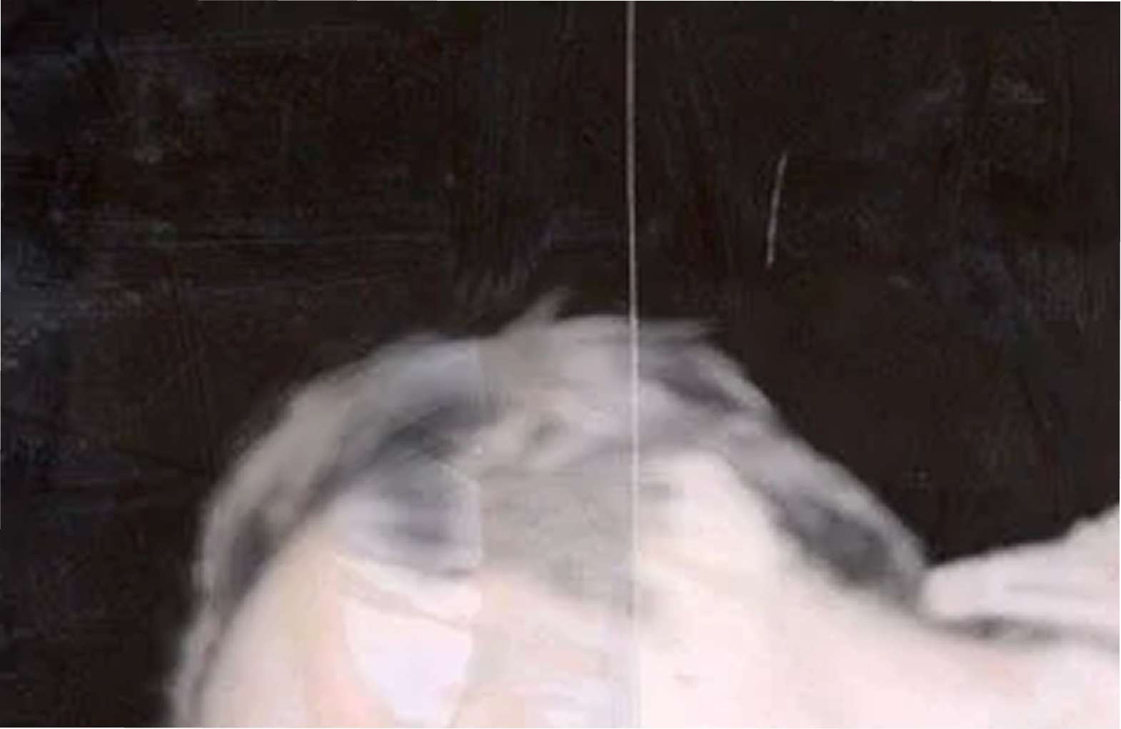 Dark Room Trash project cover